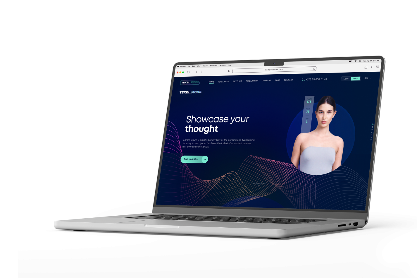 Web development